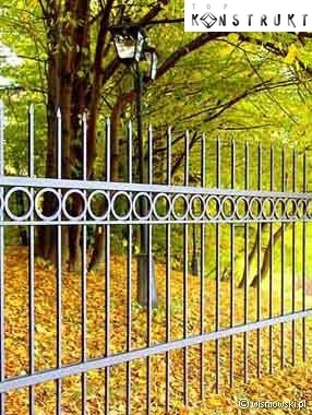 KOVAN� PLOT STYL AW.10.14 WI�NIOWSKI